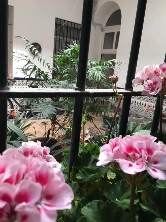 Apartamento Cruz Vieja Jerez de la Frontera Cameră foto